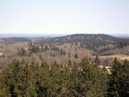 Forested hills around Estonia's highest point; Suur Munamägi