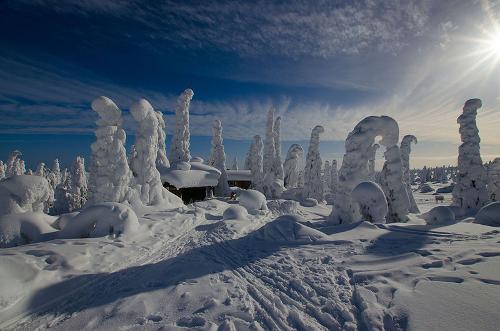 Winter in Finland