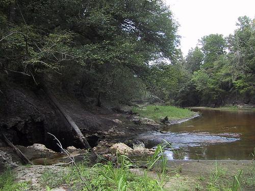 Sinkhole in the Alapaha River