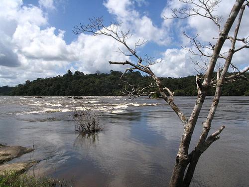 Oyapock River, French Guiana