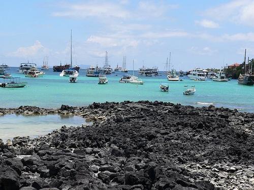 Puerta Ayora on the island of Santa cruz, Galapagos Islands