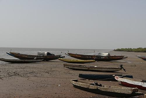 Pirogues, traditional fishing boats of Gambia