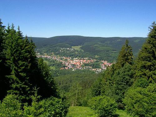Grosser Beerberg, highest mountain of the Thuringian Forest