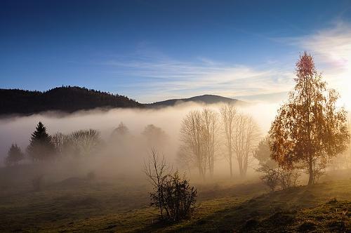 Mist boven het Wiesental (Zwarte Woud)