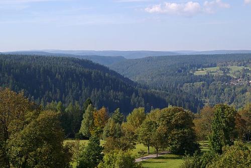 Black Forest, wooded area in Germany