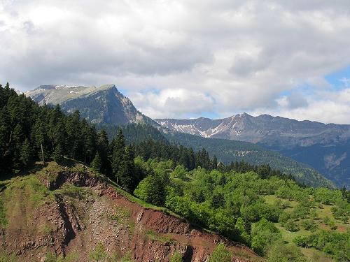 Forests Pindos mountains, Greece