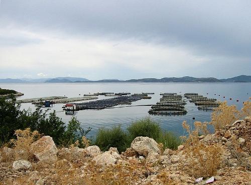 Aquaculture Greece