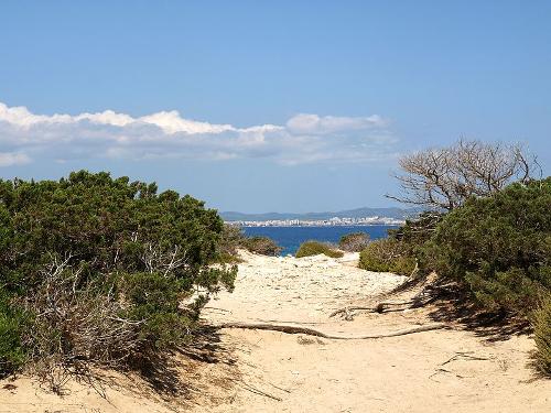 Quiet beach Ibiza