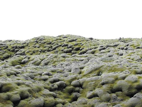 Moss, Iceland