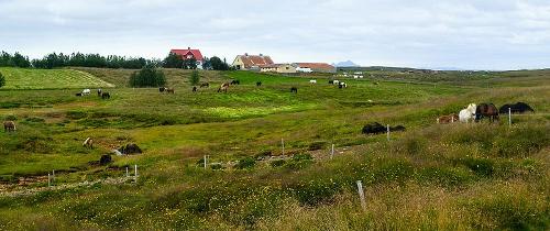 Farm Iceland