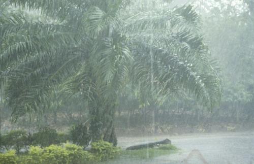 Tropical rainstorm over Medan, Sumatra