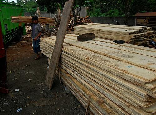 Candlenut (Aleurites moluccana), sawn timber (plank). Narmada, Lombok, Indonesia 