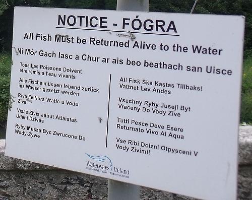 Multilingual catch and release Instruction Ireland