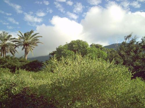 Landscape Isla Margarita