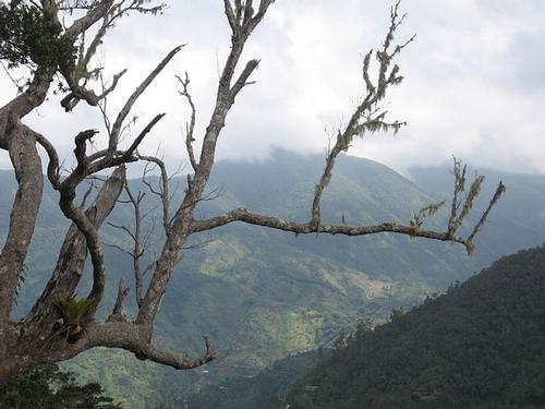 Blue Mountains, Jamaica