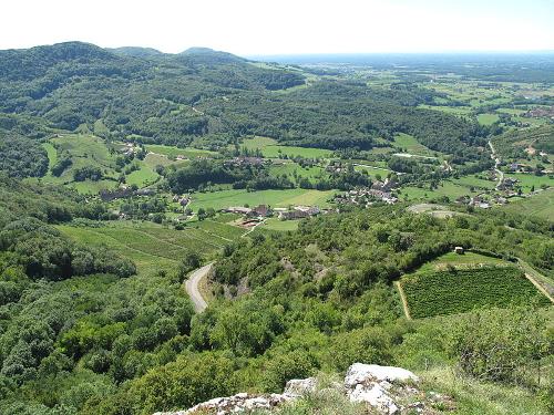 Jura Forests