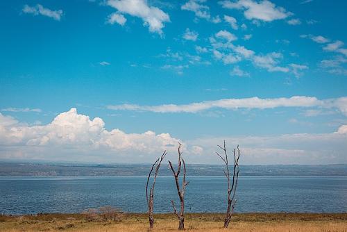 Lake Nakura, Kenya
