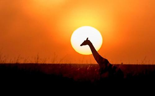 Sunrise Kenya