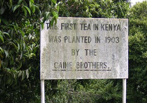 Start Kenya as tea producing country