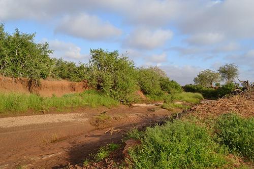 Kenia, dry stream bed of river Voi