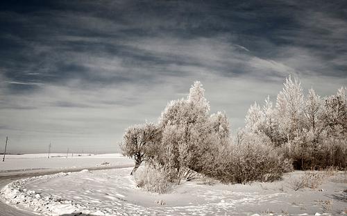 Winter landscape in Latvia