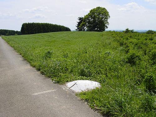 The top of the Kneiff, Luxembourg's highest hill