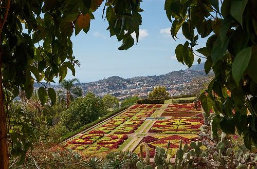 Jardim Botanico da Madeira