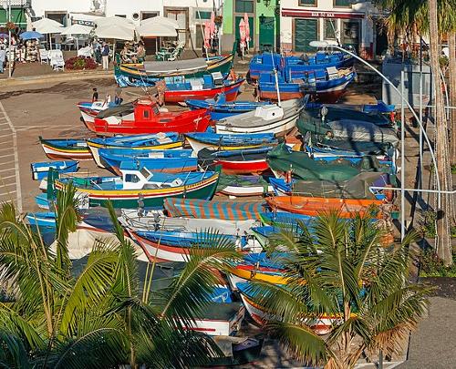 Fishing boats Madeira