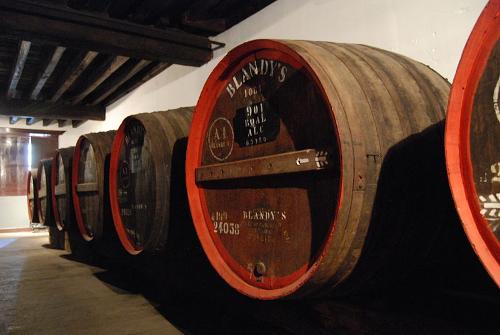 Barrels of Madeira Wine