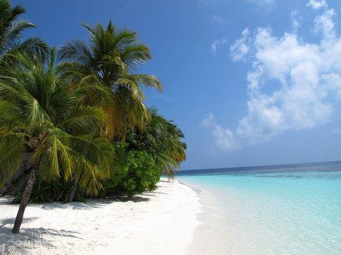Typical beach landscape Maldives