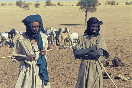 Tuareg Mali