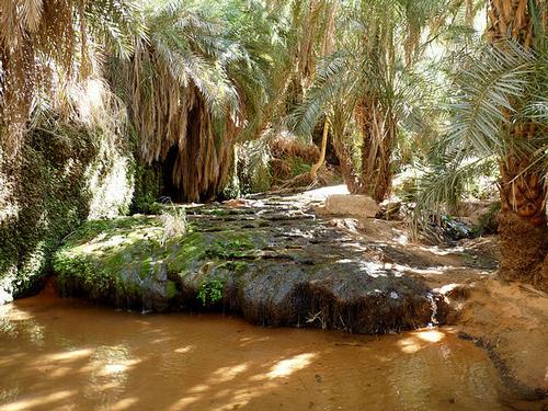 Tergit oasis, Mauritania