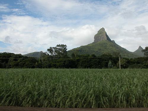 Piton de la Rivière Noire, highest mountain in Mauritius