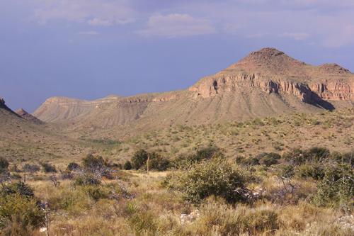 Chihuahua desert, Mexico