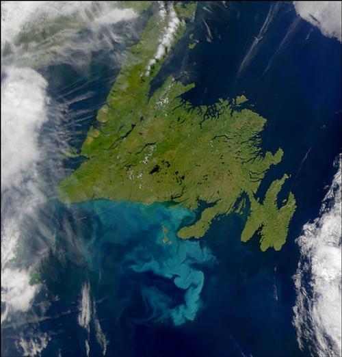 Newfoundland Satellite Photo