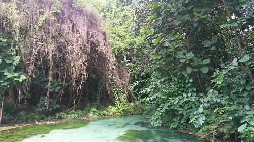 Wiki Warm Spring Yankari, Nigeria