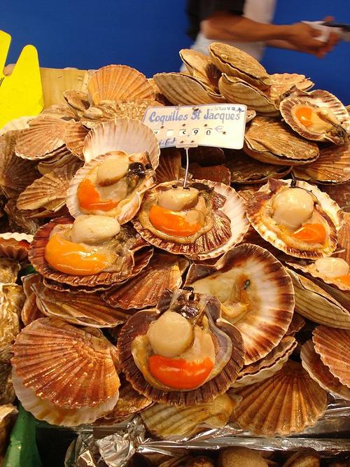 Coquilles Saint-Jacques, Normandy