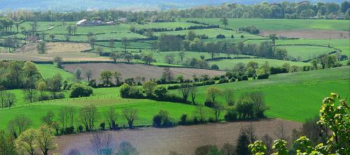 Bocage landscape Normandy