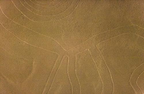 Lines of Nazca culture in Peru