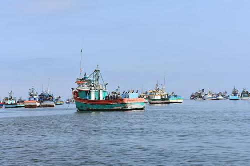 Peru Fishery