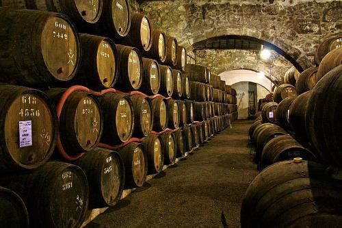 Wine cellars Port wines