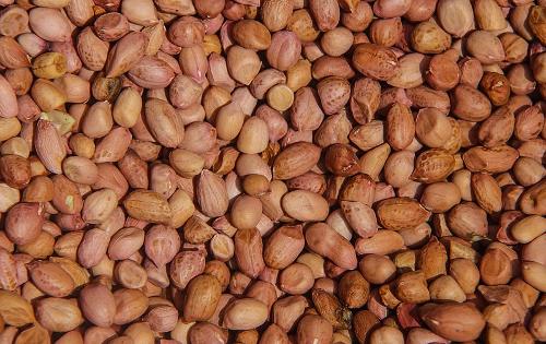 Peanuts Senegal