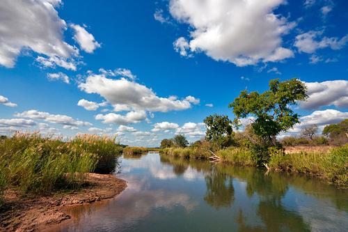Landscape Kruger Park near the Sabie River