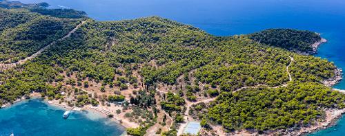 Spetses Pine forests