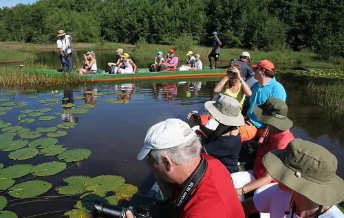 Bigi Pan Nature Reserve, Suriname. Lots of birds in these wetlands.