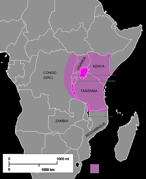 Distribution of Swahili language, Tanzania