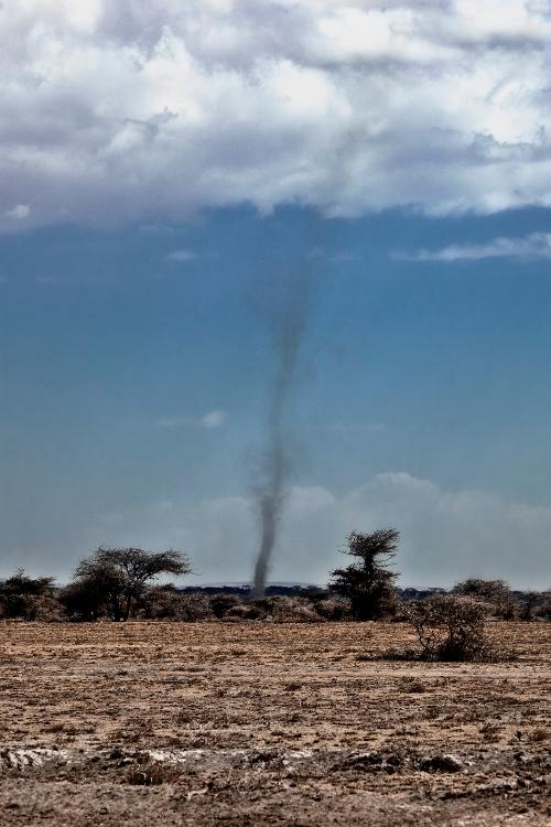  A whirlwind on the Serengeti plains