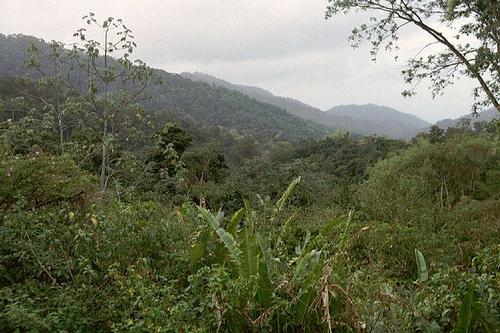 Landscape Trinidad and Tobago