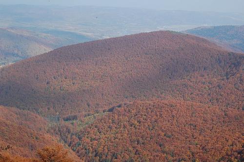 Carpathians, Ukraine