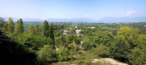 Vegetation, Veneto